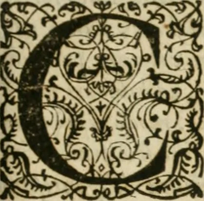 An illustration from M. Vitrvvii Pollionis De architectvra libri decem, ad Caes. Avgvstvm, omnibus omnium editionibus longè emendatiores, collatis veteribus exemplis, 1586, leaf 312