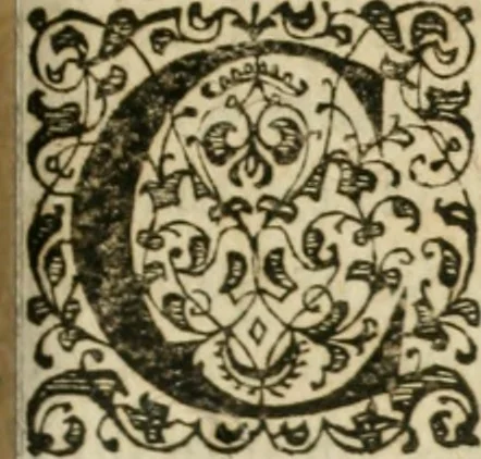 An illustration from M. Vitrvvii Pollionis De architectvra libri decem, ad Caes. Avgvstvm, omnibus omnium editionibus longè emendatiores, collatis veteribus exemplis, 1586, leaf 324