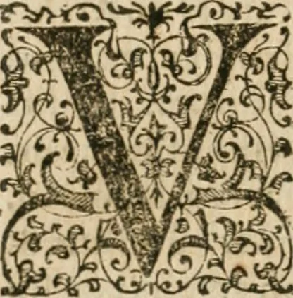An illustration from M. Vitrvvii Pollionis De architectvra libri decem, ad Caes. Avgvstvm, omnibus omnium editionibus longè emendatiores, collatis veteribus exemplis, 1586, leaf 417