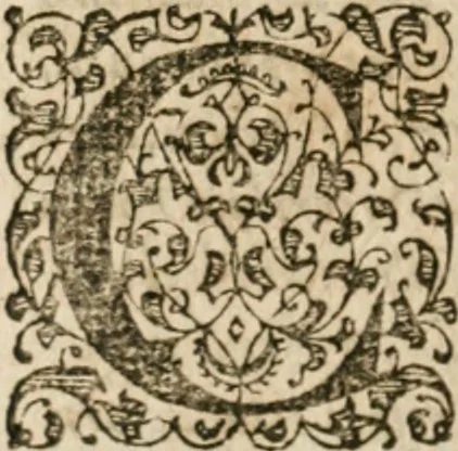 An illustration from M. Vitrvvii Pollionis De architectvra libri decem, ad Caes. Avgvstvm, omnibus omnium editionibus longè emendatiores, collatis veteribus exemplis, 1586, leaf 449