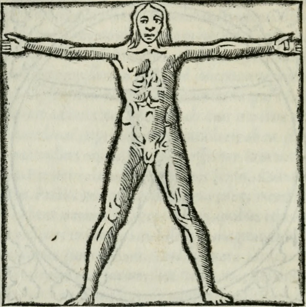 An illustration from Vitrvvivs itervm et Frontinvs, 1513, leaf 99