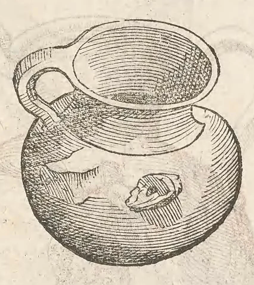 An illustration from Vlyssis Aldrouandi patricii Bononiensis Musaeum metallicum : in libros iiii distributum, 1648, leaf 247