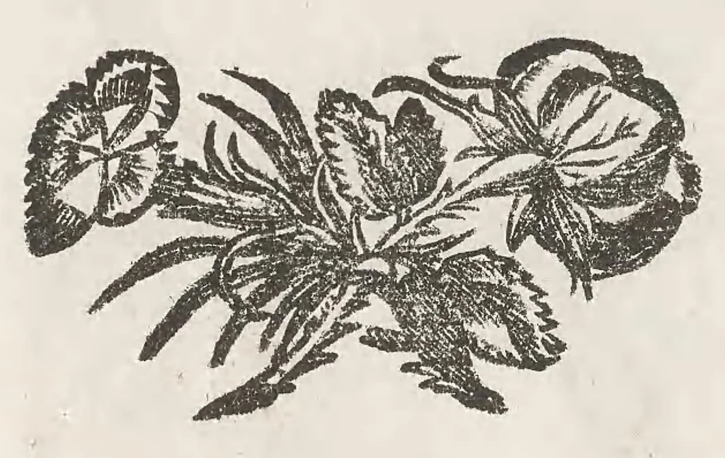 An illustration from Vlyssis Aldrouandi patricii Bononiensis Musaeum metallicum : in libros iiii distributum, 1648, leaf 482