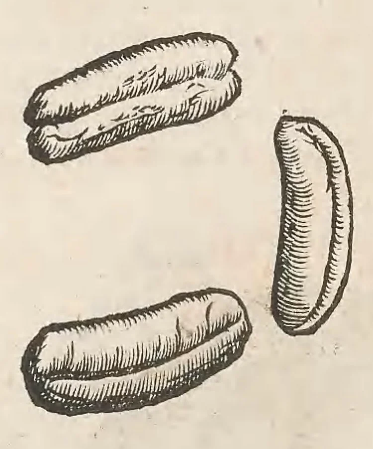 An illustration from Vlyssis Aldrouandi patricii Bononiensis Musaeum metallicum : in libros iiii distributum, 1648, leaf 524