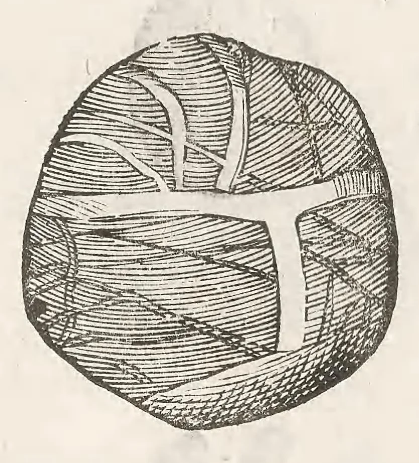 An illustration from Vlyssis Aldrouandi patricii Bononiensis Musaeum metallicum : in libros iiii distributum, 1648, leaf 747