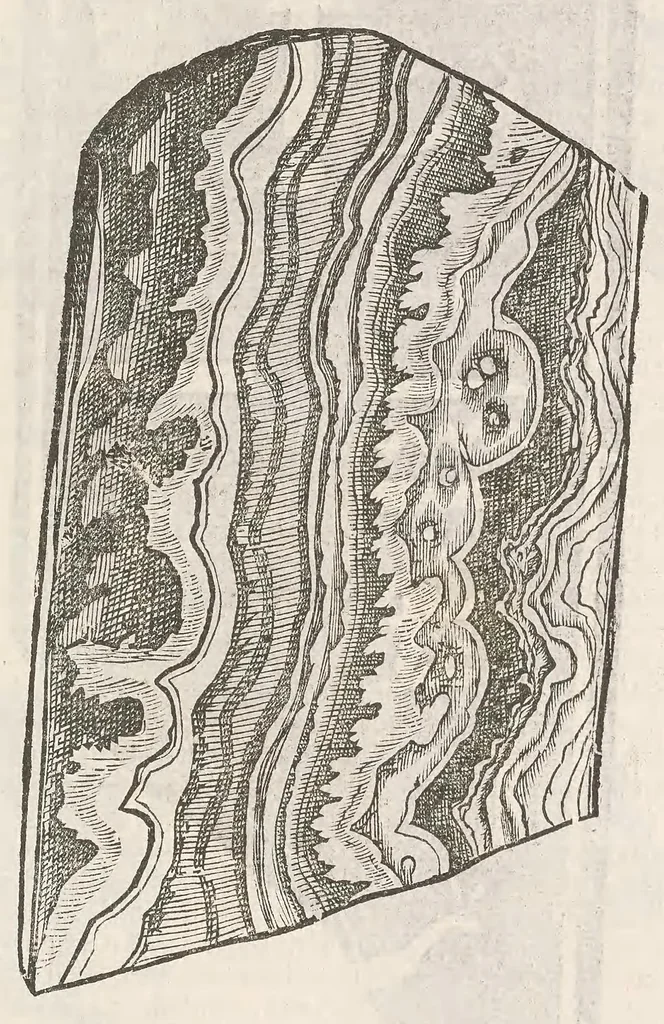 An illustration from Vlyssis Aldrouandi patricii Bononiensis Musaeum metallicum : in libros iiii distributum, 1648, leaf 763