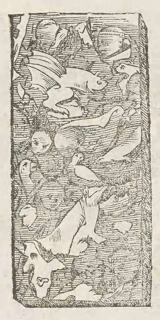 An illustration from Vlyssis Aldrouandi patricii Bononiensis Musaeum metallicum : in libros iiii distributum, 1648, leaf 780
