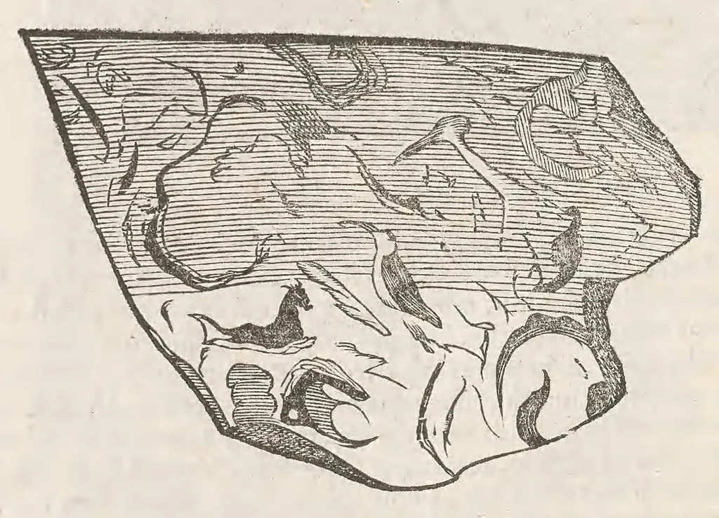 An illustration from Vlyssis Aldrouandi patricii Bononiensis Musaeum metallicum : in libros iiii distributum, 1648, leaf 780