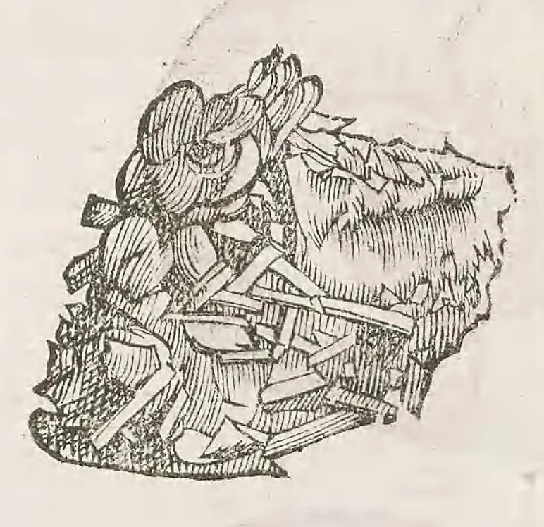 An illustration from Vlyssis Aldrouandi patricii Bononiensis Musaeum metallicum : in libros iiii distributum, 1648, leaf 818