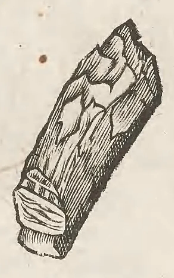An illustration from Vlyssis Aldrouandi patricii Bononiensis Musaeum metallicum : in libros iiii distributum, 1648, leaf 866