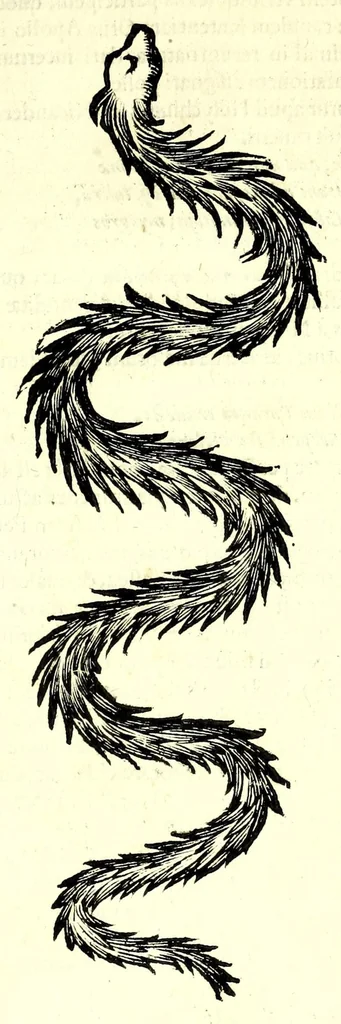 An illustration from Vlyssis Aldrouandi patricii Bononiensis Serpentum et draconu[m] historiae libri duo, 1640, leaf 315