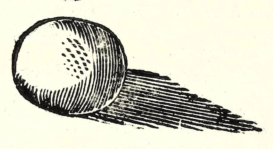 An illustration from Vlyssis Aldrouandi patricii Bononiensis Serpentum et draconu[m] historiae libri duo, 1640, leaf 378