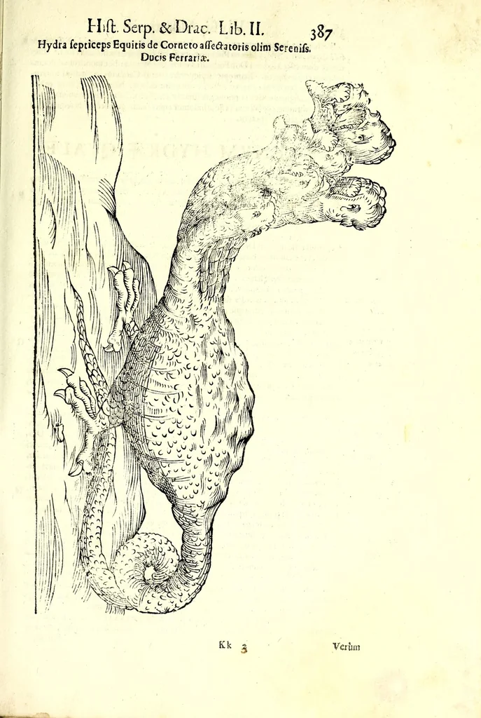 An illustration from Vlyssis Aldrouandi patricii Bononiensis Serpentum et draconu[m] historiae libri duo, 1640, leaf 399