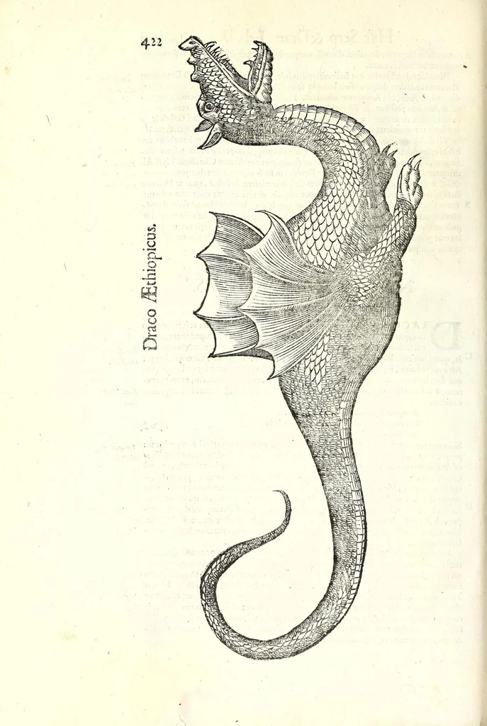 An illustration from Vlyssis Aldrouandi patricii Bononiensis Serpentum et draconu[m] historiae libri duo, 1640, leaf 432