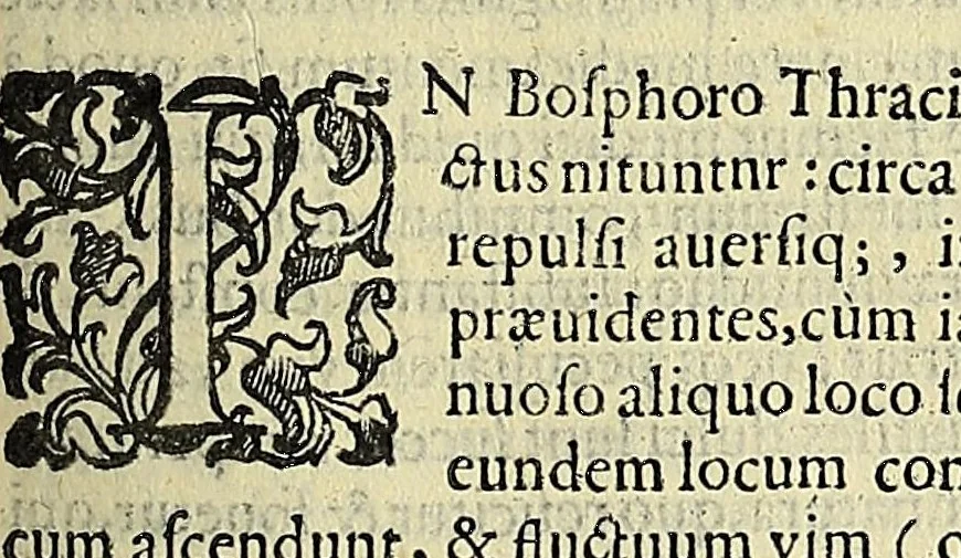 An illustration from Vlyssis Aldrovandi philosophi, et medici Bononiensis, De reliquis animalibus exanguibus libri quatuor, 1606, leaf 193