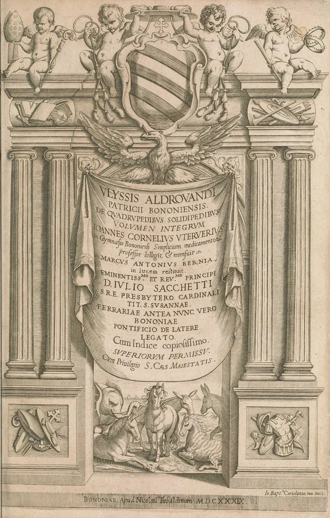 An illustration from Vlyssis Aldrovandi patricii Bononiensis De quadrupedibus solidipedibus volumen integrum, 1639, leaf 13