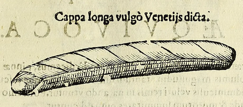 An illustration from Vlyssis Aldrovandi philosophi, et medici Bononiensis De reliquis animalibus exanguibus libri quatuor, 1642, leaf 543