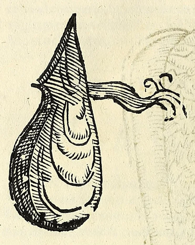 An illustration from Vlyssis Aldrovandi philosophi, et medici Bononiensis De reliquis animalibus exanguibus libri quatuor, 1642, leaf 546