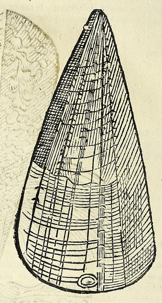 An illustration from Vlyssis Aldrovandi philosophi, et medici Bononiensis De reliquis animalibus exanguibus libri quatuor, 1642, leaf 546