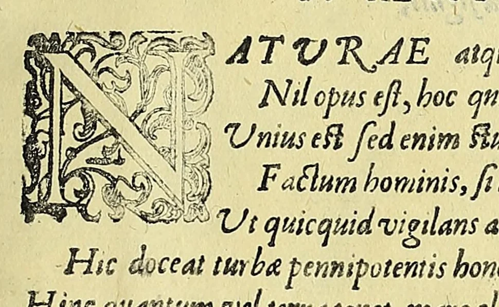 An illustration from Vlyssis Aldrovandi philosophi ac medici Bononiensis historiam naturalem in gymnasio Bononiensi profitentis, Ornithologiae, hoc est, De avibus historiae libri XII ... : cum indice septendecim linguarum copiosissimo, 1599, leaf 29