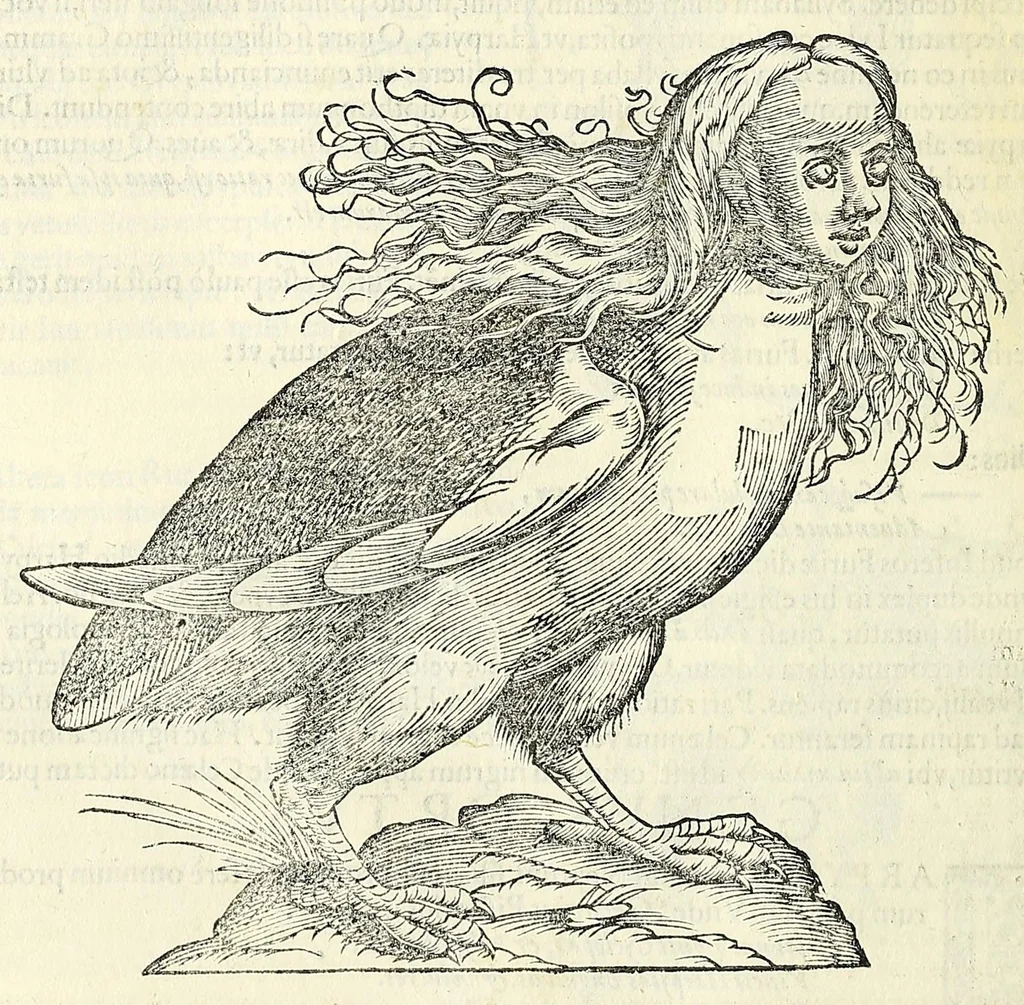 An illustration from Vlyssis Aldrovandi philosophi ac medici Bononiensis historiam naturalem in gymnasio Bononiensi profitentis, Ornithologiae, hoc est, De avibus historiae libri XII ... : cum indice septendecim linguarum copiosissimo, 1599, leaf 644