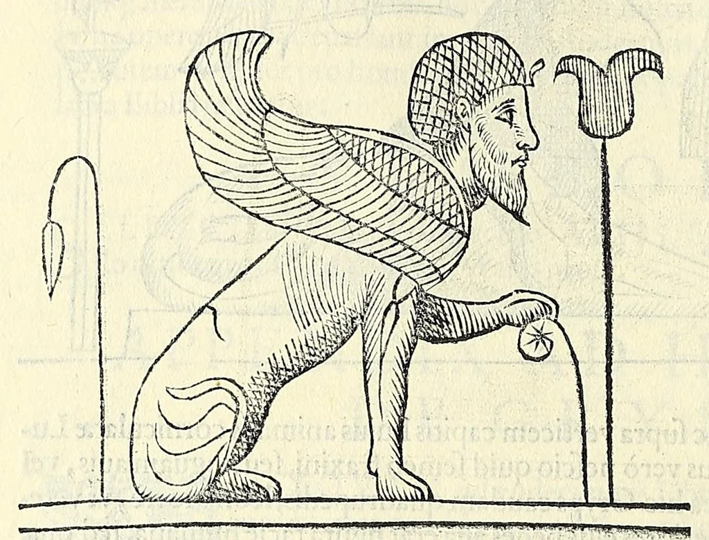 An illustration from Vlyssis Aldrovandi philosophi ac medici Bononiensis historiam naturalem in gymnasio Bononiensi profitentis, Ornithologiae, hoc est, De avibus historiae libri XII ... : cum indice septendecim linguarum copiosissimo, 1599, leaf 664