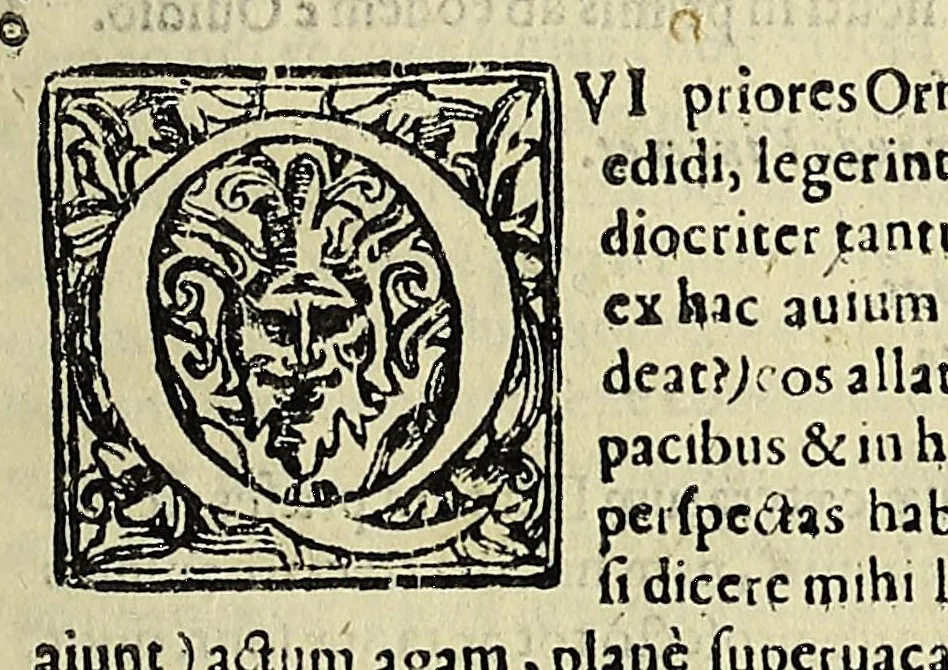 An illustration from Vlyssis Aldrovandi philosophi ac medici Bononiensis historiam naturalem in gymnasio Bononiensi profitentis, Ornithologiae, hoc est, De avibus historiae libri XII ... : cum indice septendecim linguarum copiosissimo, 1599, leaf 19