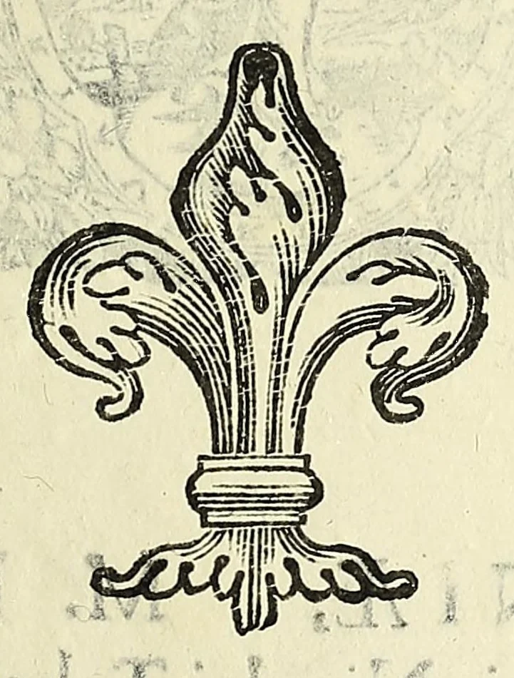 An illustration from Vlyssis Aldrovandi philosophi ac medici Bononiensis historiam naturalem in gymnasio Bononiensi profitentis, Ornithologiae, hoc est, De avibus historiae libri XII ... : cum indice septendecim linguarum copiosissimo, 1599, leaf 601