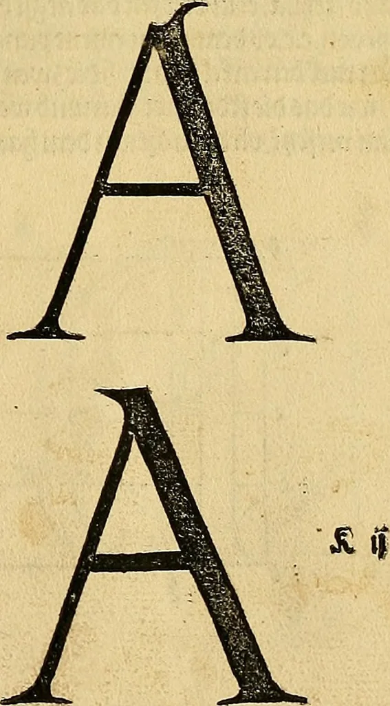 An illustration from Vnderweysung der Messung : mit dem Zirkel vn[d] Richtscheyt in Linien, Ebnen vnnd gantzen Corporen, 1525, leaf 114