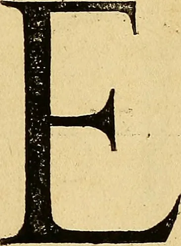 An illustration from Vnderweysung der Messung : mit dem Zirkel vn[d] Richtscheyt in Linien, Ebnen vnnd gantzen Corporen, 1525, leaf 118