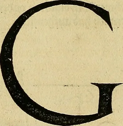 An illustration from Vnderweysung der Messung : mit dem Zirkel vn[d] Richtscheyt in Linien, Ebnen vnnd gantzen Corporen, 1525, leaf 119