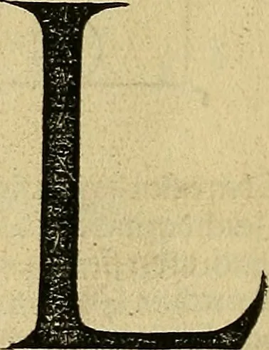 An illustration from Vnderweysung der Messung : mit dem Zirkel vn[d] Richtscheyt in Linien, Ebnen vnnd gantzen Corporen, 1525, leaf 121