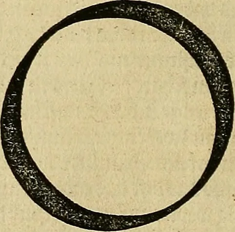 An illustration from Vnderweysung der Messung : mit dem Zirkel vn[d] Richtscheyt in Linien, Ebnen vnnd gantzen Corporen, 1525, leaf 123