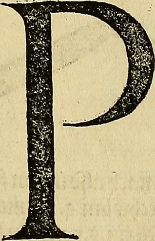 An illustration from Vnderweysung der Messung : mit dem Zirkel vn[d] Richtscheyt in Linien, Ebnen vnnd gantzen Corporen, 1525, leaf 124