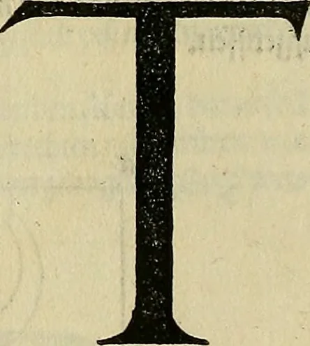 An illustration from Vnderweysung der Messung : mit dem Zirkel vn[d] Richtscheyt in Linien, Ebnen vnnd gantzen Corporen, 1525, leaf 127