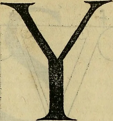 An illustration from Vnderweysung der Messung : mit dem Zirkel vn[d] Richtscheyt in Linien, Ebnen vnnd gantzen Corporen, 1525, leaf 129