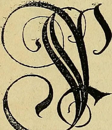 An illustration from Vnderweysung der Messung : mit dem Zirkel vn[d] Richtscheyt in Linien, Ebnen vnnd gantzen Corporen, 1525, leaf 13