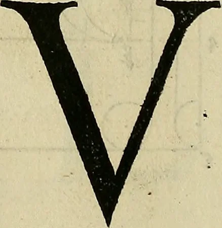 An illustration from Vnderweysung der Messung : mit dem Zirkel vn[d] Richtscheyt in Linien, Ebnen vnnd gantzen Corporen, 1525, leaf 133