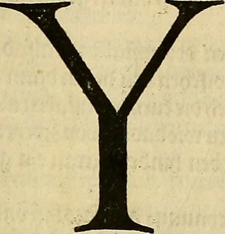 An illustration from Vnderweysung der Messung : mit dem Zirkel vn[d] Richtscheyt in Linien, Ebnen vnnd gantzen Corporen, 1525, leaf 134