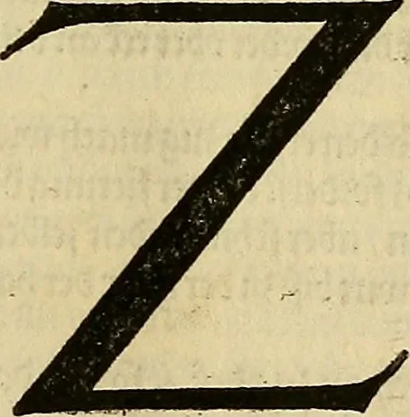 An illustration from Vnderweysung der Messung : mit dem Zirkel vn[d] Richtscheyt in Linien, Ebnen vnnd gantzen Corporen, 1525, leaf 134