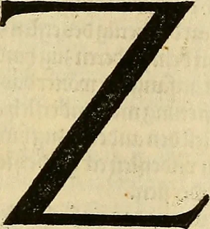 An illustration from Vnderweysung der Messung : mit dem Zirkel vn[d] Richtscheyt in Linien, Ebnen vnnd gantzen Corporen, 1525, leaf 134