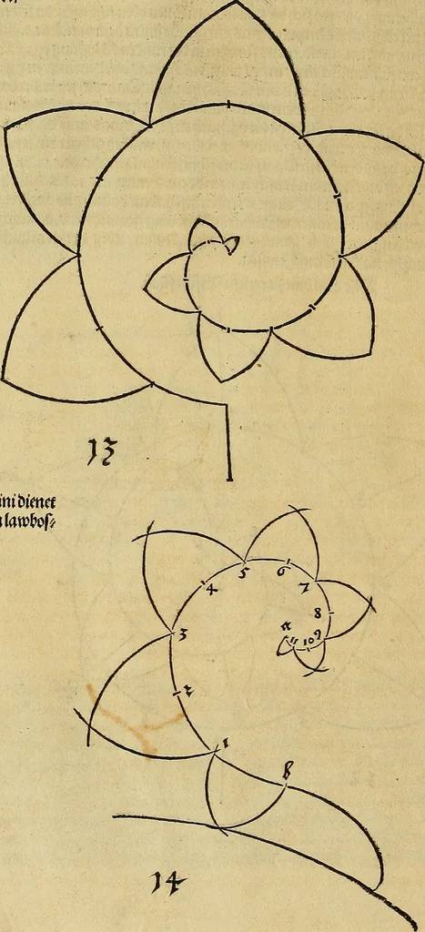An illustration from Vnderweysung der Messung : mit dem Zirkel vn[d] Richtscheyt in Linien, Ebnen vnnd gantzen Corporen, 1525, leaf 15