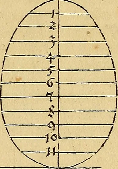 An illustration from Vnderweysung der Messung : mit dem Zirkel vn[d] Richtscheyt in Linien, Ebnen vnnd gantzen Corporen, 1525, leaf 34