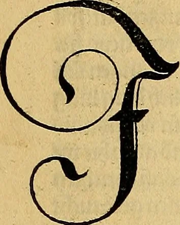 An illustration from Vnderweysung der Messung : mit dem Zirkel vn[d] Richtscheyt in Linien, Ebnen vnnd gantzen Corporen, 1525, leaf 6