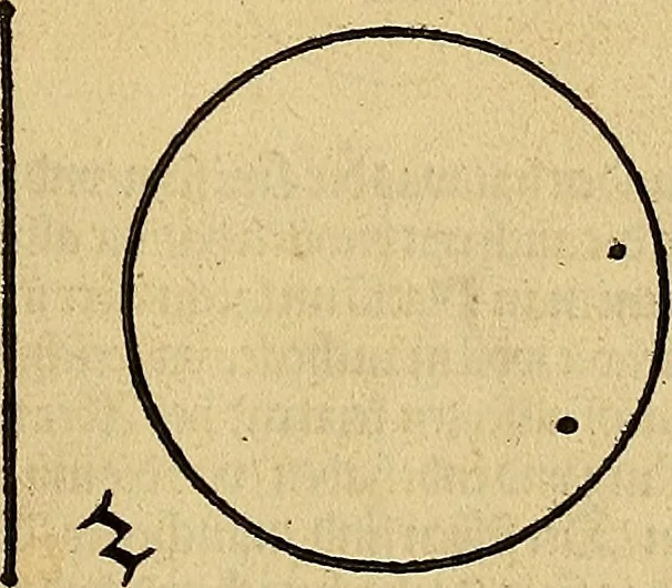 An illustration from Vnderweysung der Messung : mit dem Zirkel vn[d] Richtscheyt in Linien, Ebnen vnnd gantzen Corporen, 1525, leaf 6