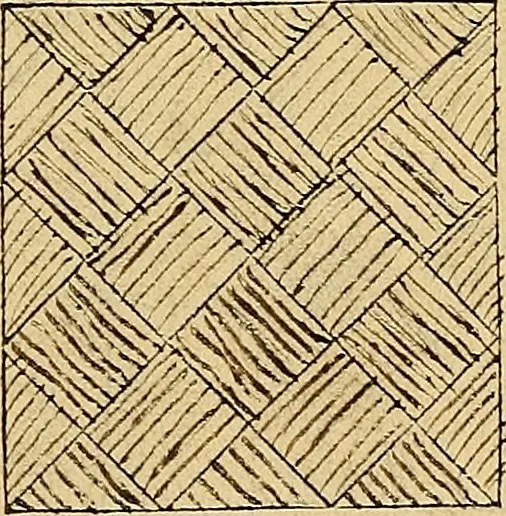 An illustration from Vnderweysung der Messung : mit dem Zirkel vn[d] Richtscheyt in Linien, Ebnen vnnd gantzen Corporen, 1525, leaf 64