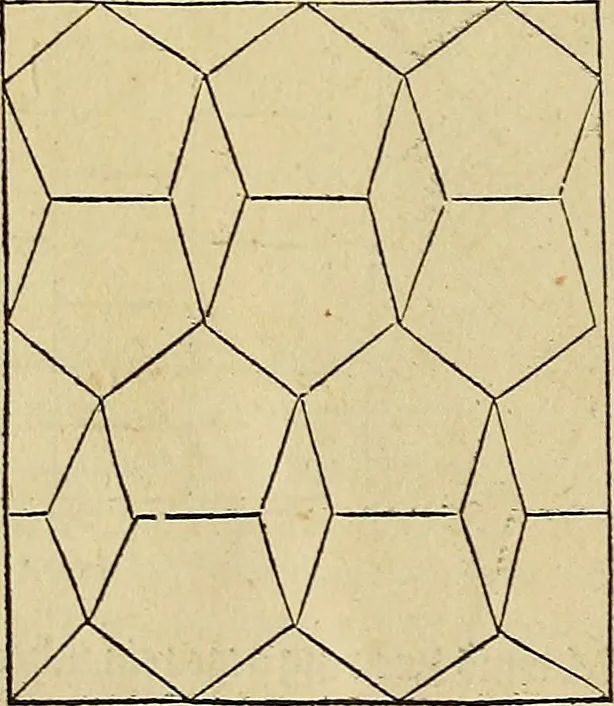 An illustration from Vnderweysung der Messung : mit dem Zirkel vn[d] Richtscheyt in Linien, Ebnen vnnd gantzen Corporen, 1525, leaf 65