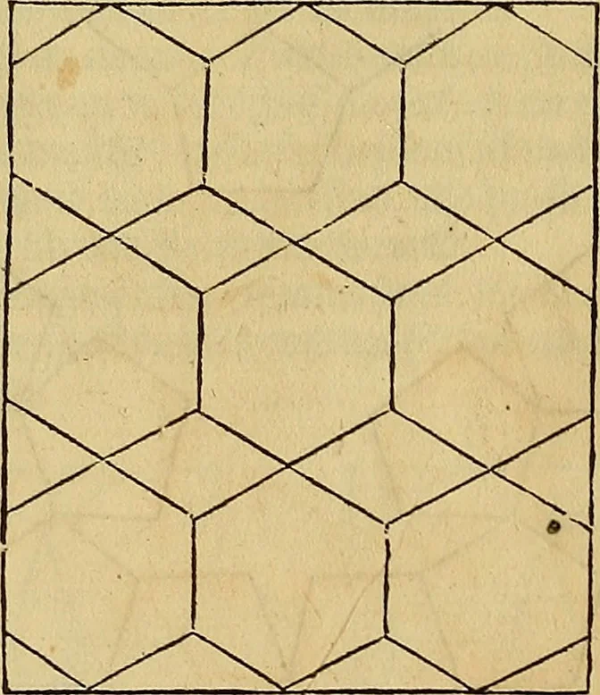 An illustration from Vnderweysung der Messung : mit dem Zirkel vn[d] Richtscheyt in Linien, Ebnen vnnd gantzen Corporen, 1525, leaf 67