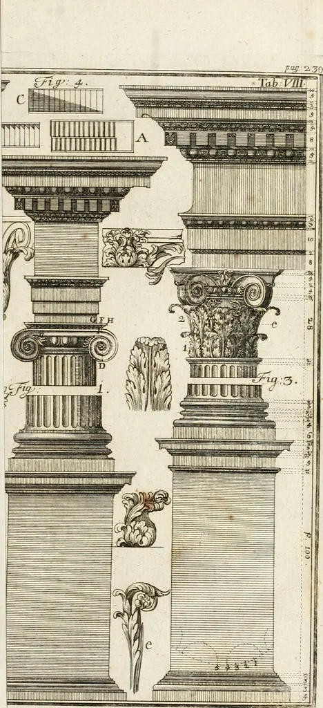 An illustration from Vniversae architecturae civilis elementa, 1756, leaf 316
