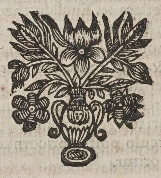 An illustration from Vniversae geometriae, mixtaeqve mathematicae synopsis, et bini refractionvm demonstratarvm tractatvs, 1644, leaf 398